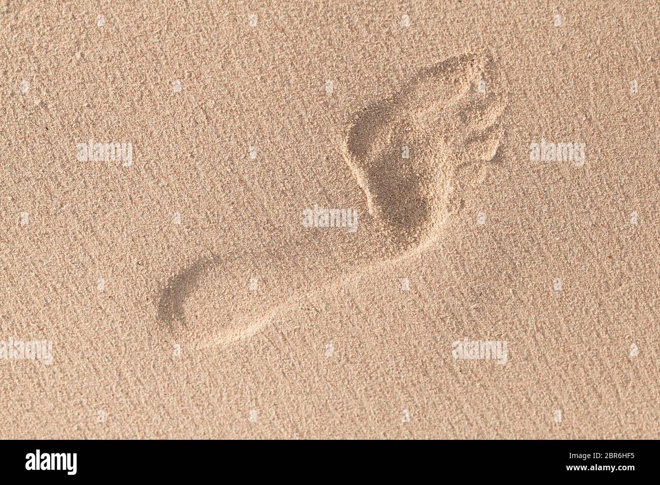 Human Footprint In Wet Sand On The Beach Close Up Photo Top View Stock Photo Alamy