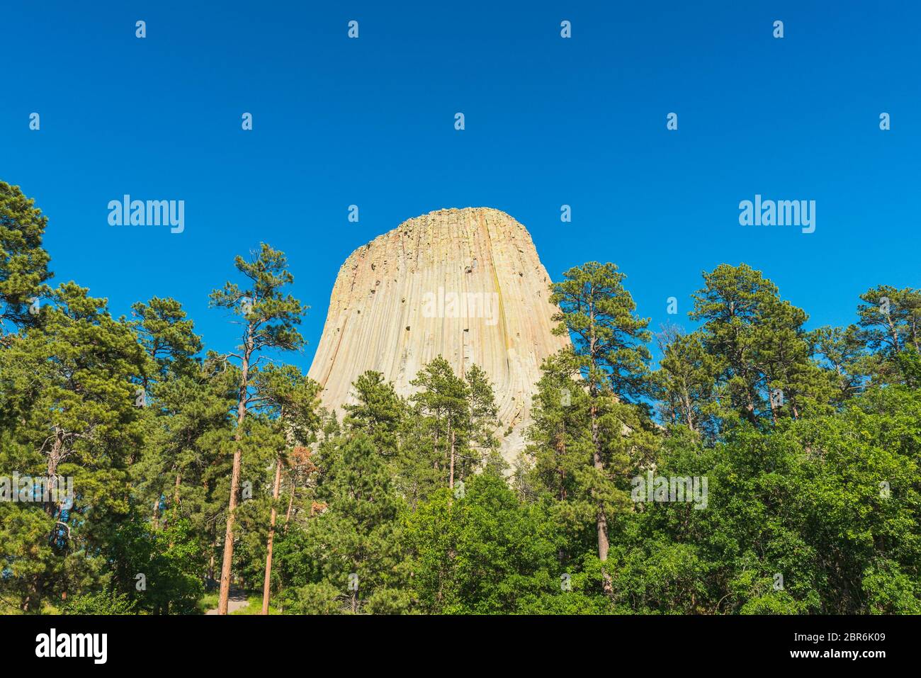 Devil towers against the blue sky in summer season,Wyoming,usa. Stock Photo