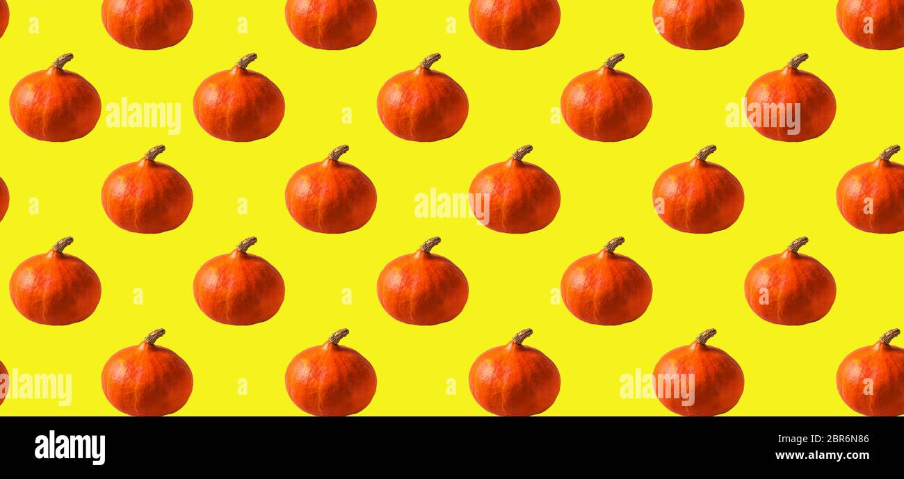 Seamless Pattern with orange pumpkin on yellow color background,panorama. Stock Photo