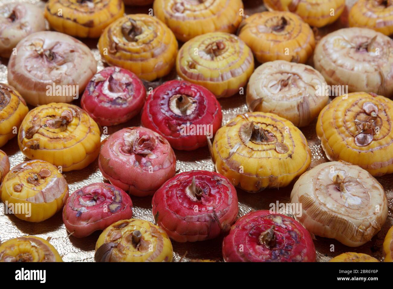 pile of natural onions with some small defects Stock Photo Alamy