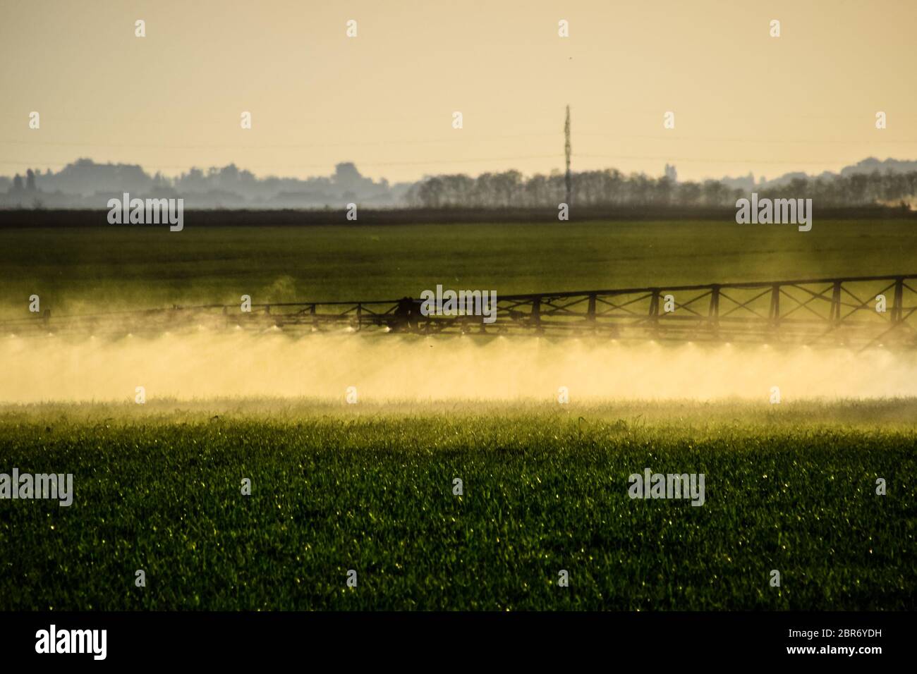 Jets of liquid fertilizer from the tractor sprayer. Tractor with the