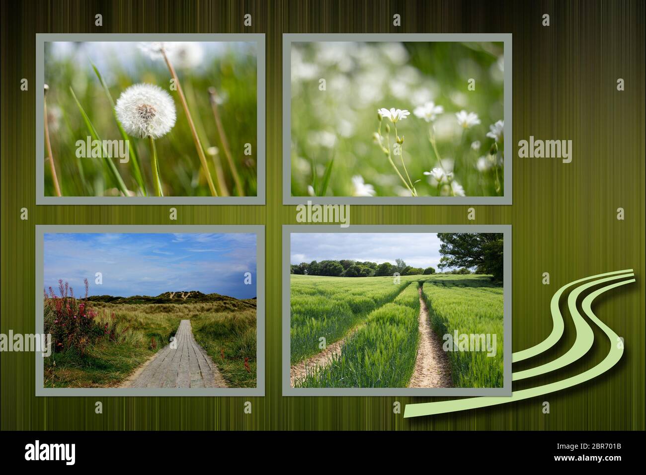 Collage of rural calm summer field landscape and summer flowers on green abstract background with icon of road going to horison Stock Photo
