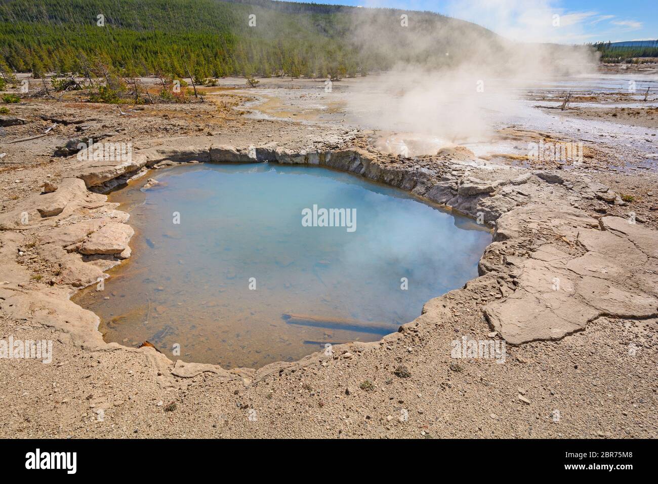 Hot Spring and Steam in a Thermal Basin in the Norris Geyser Basin in ...