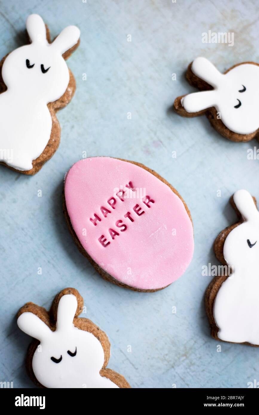 Easter Fondant Covered Gingerbread Egg And Bunny Biscuits Stock Photo