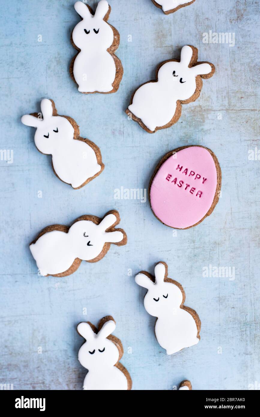 Easter Fondant Covered Gingerbread Egg And Bunny Biscuits Stock Photo