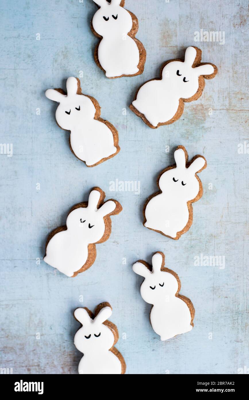 Easter Fondant Covered Gingerbread Egg And Bunny Biscuits Stock Photo