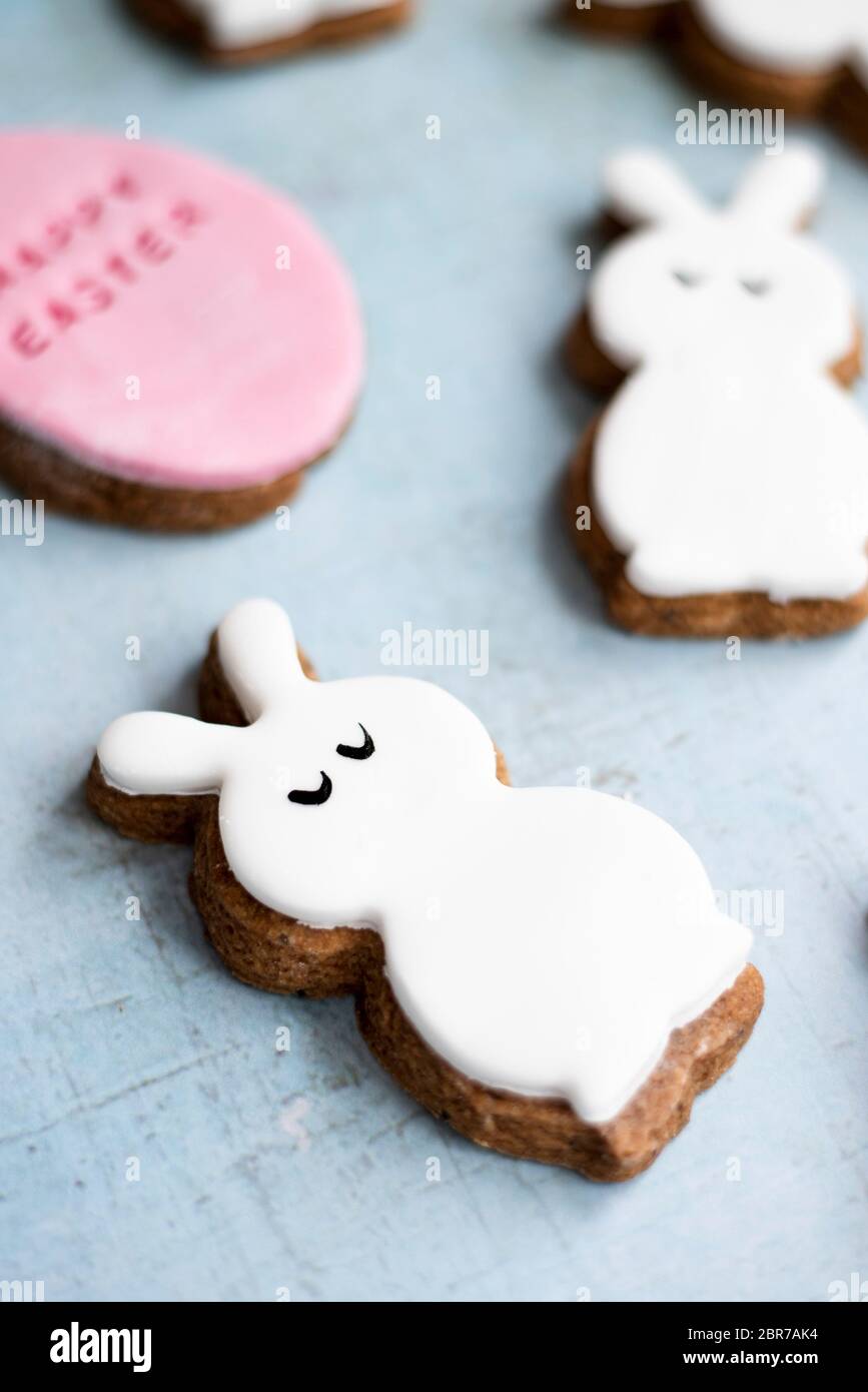 Easter Fondant Covered Gingerbread Egg And Bunny Biscuits Stock Photo