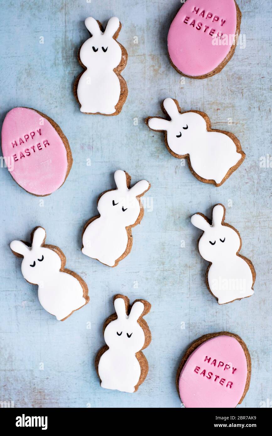 Easter Fondant Covered Gingerbread Egg And Bunny Biscuits Stock Photo