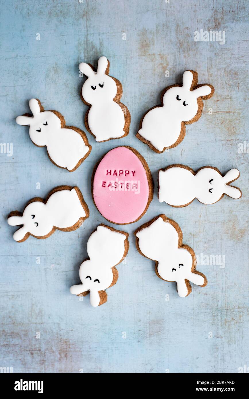 Easter Fondant Covered Gingerbread Egg And Bunny Biscuits Stock Photo