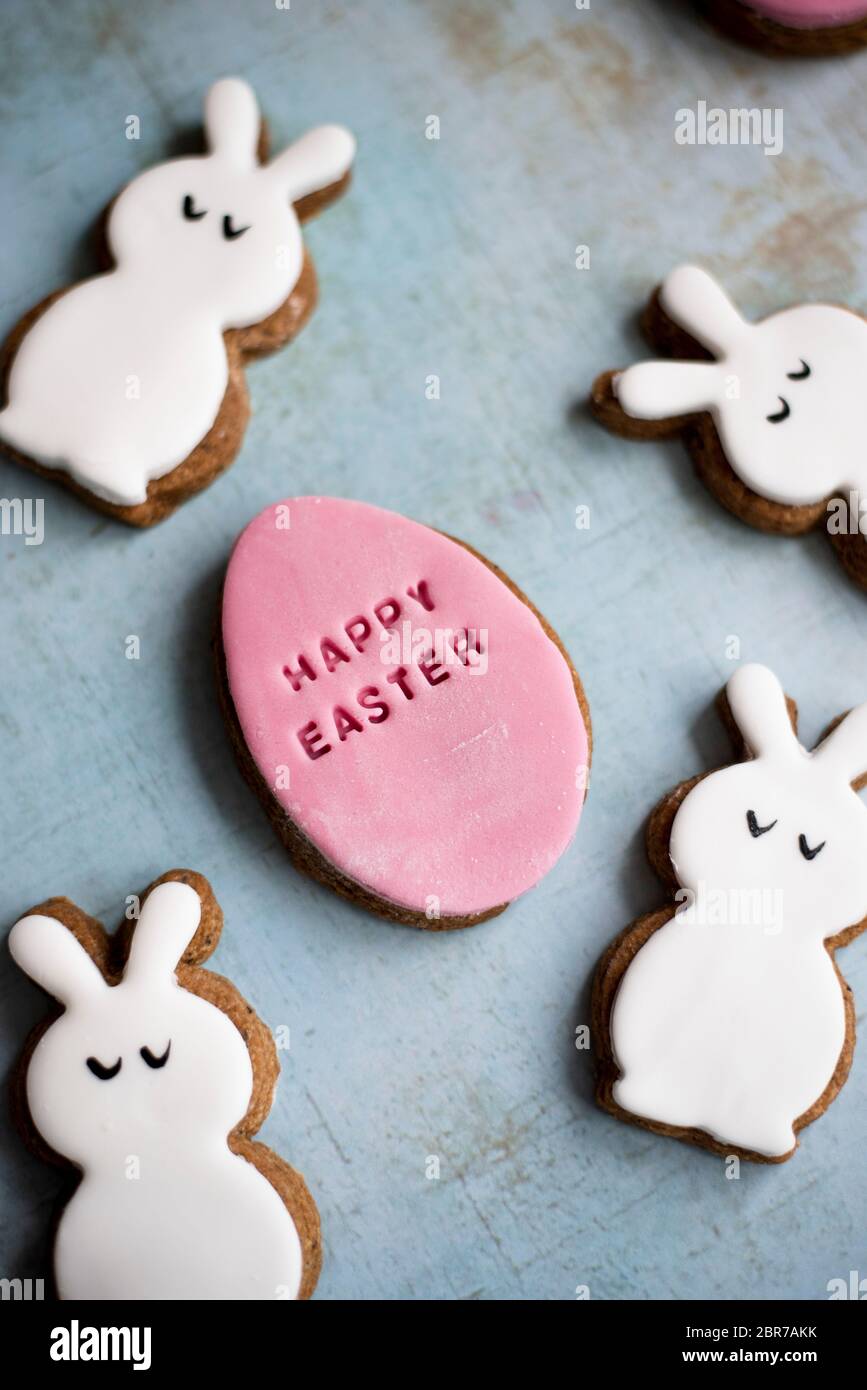 Easter Fondant Covered Gingerbread Egg And Bunny Biscuits Stock Photo