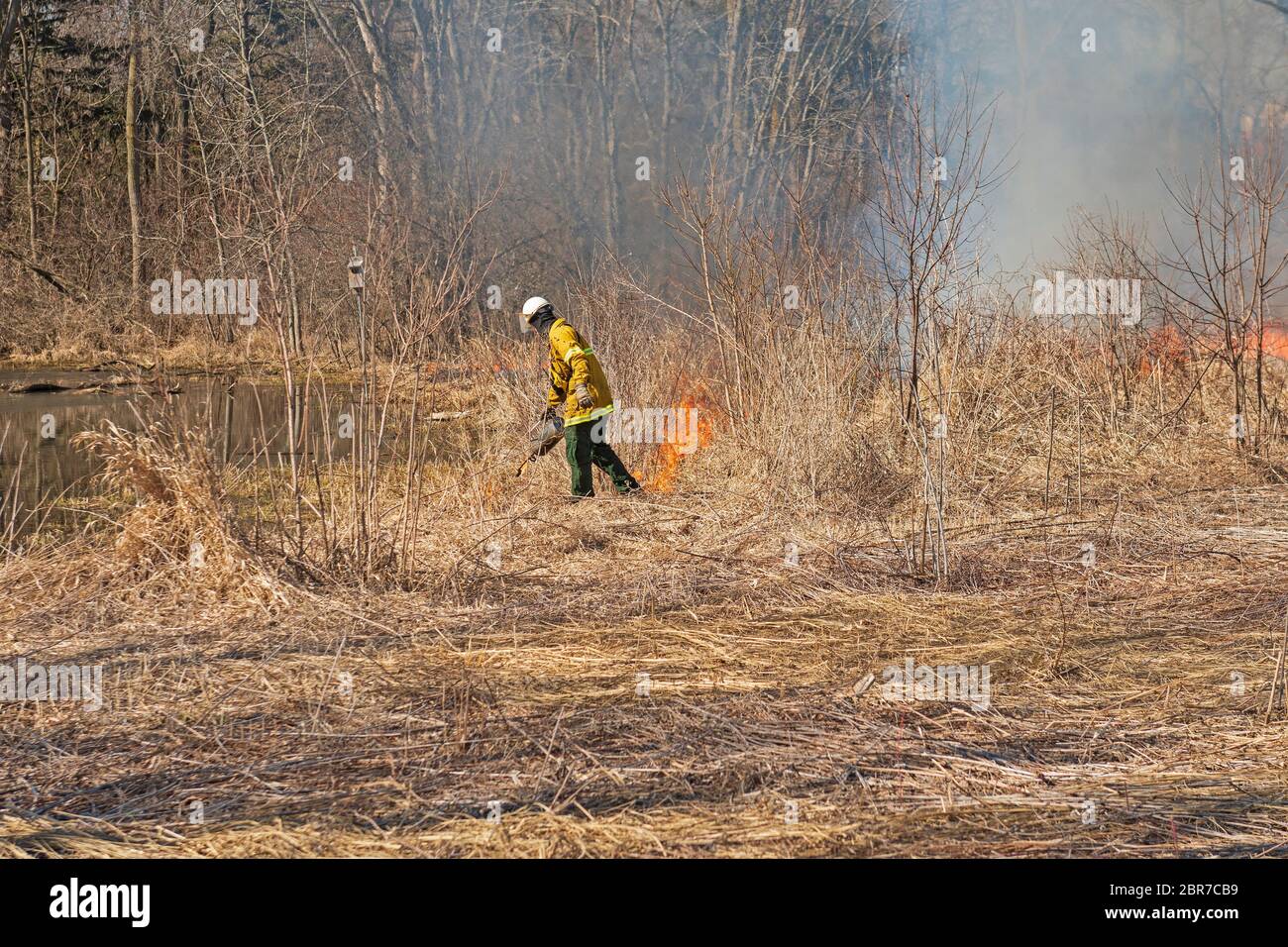 Using the Drip Torch to Start a Controlled Burn in Spring Valley Nature Center in Schaumburg, Illinois Stock Photo