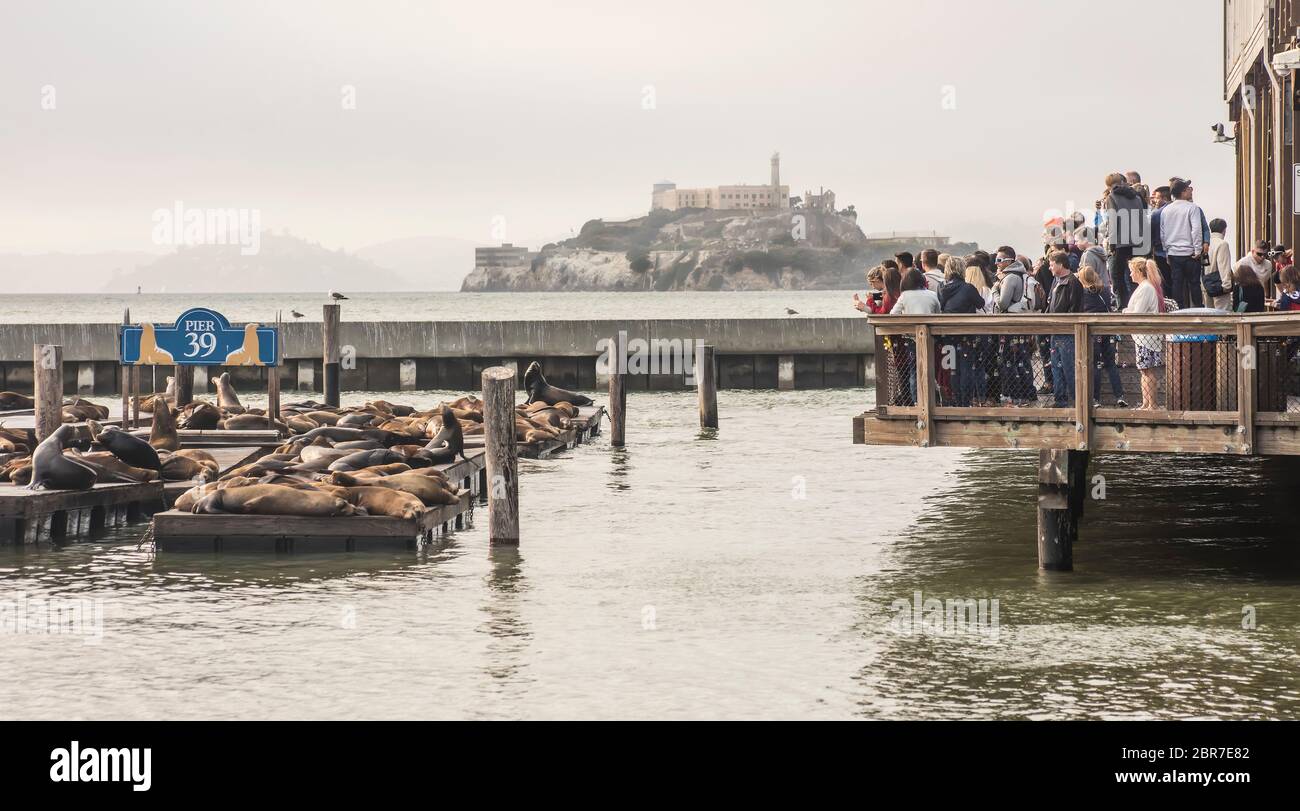 Alcatraz penal island seen from Pier 39, San Francisco, California, USA Stock Photo