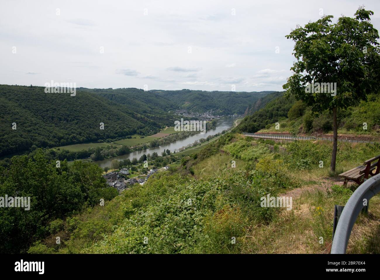 Blick vom Valwiggerberg ins Moseltal auf Cochem-Sehl, Valwig, Rheinland-Pfalz, Deutschland Stock Photo