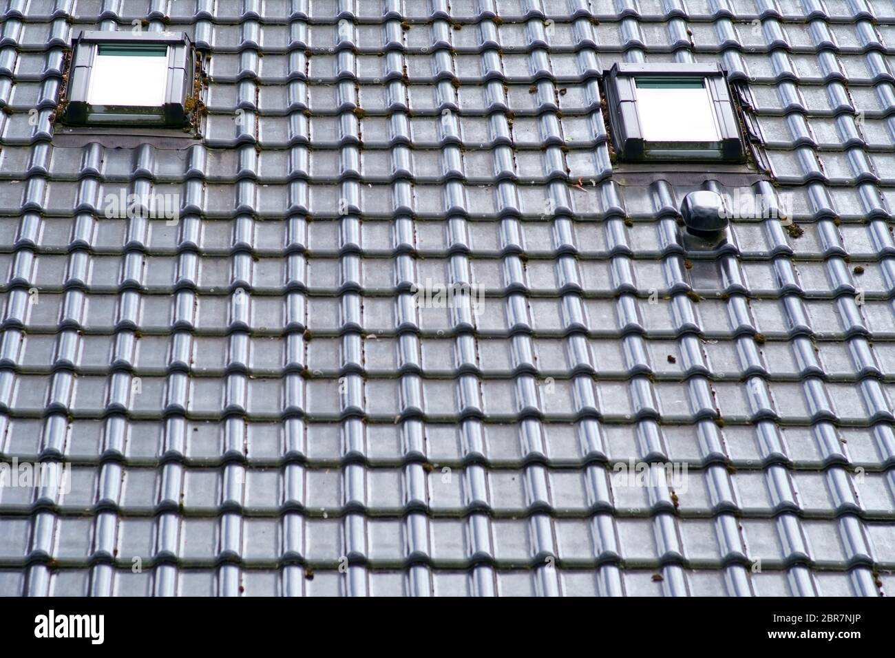 A shingled roof with two skylights and ventilation hoods. Stock Photo