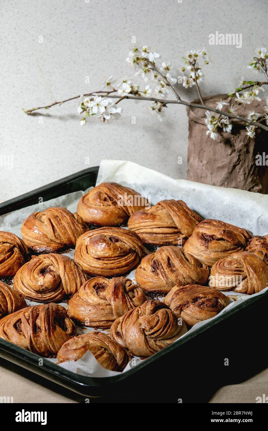 Fresh baked traditional Swedish cinnamon sweet buns Kanelbulle on oven tray cover by baking paper on beige linen table cloth. Blossom branches behind Stock Photo