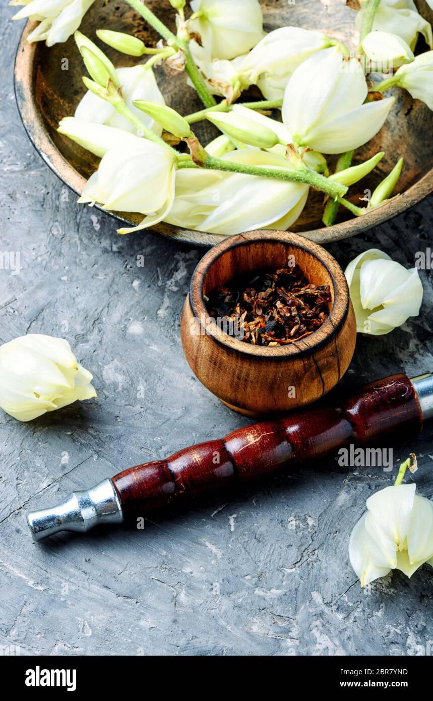 chutta tobacco India's Largest and Trusted Online Cigar Store Since 1998