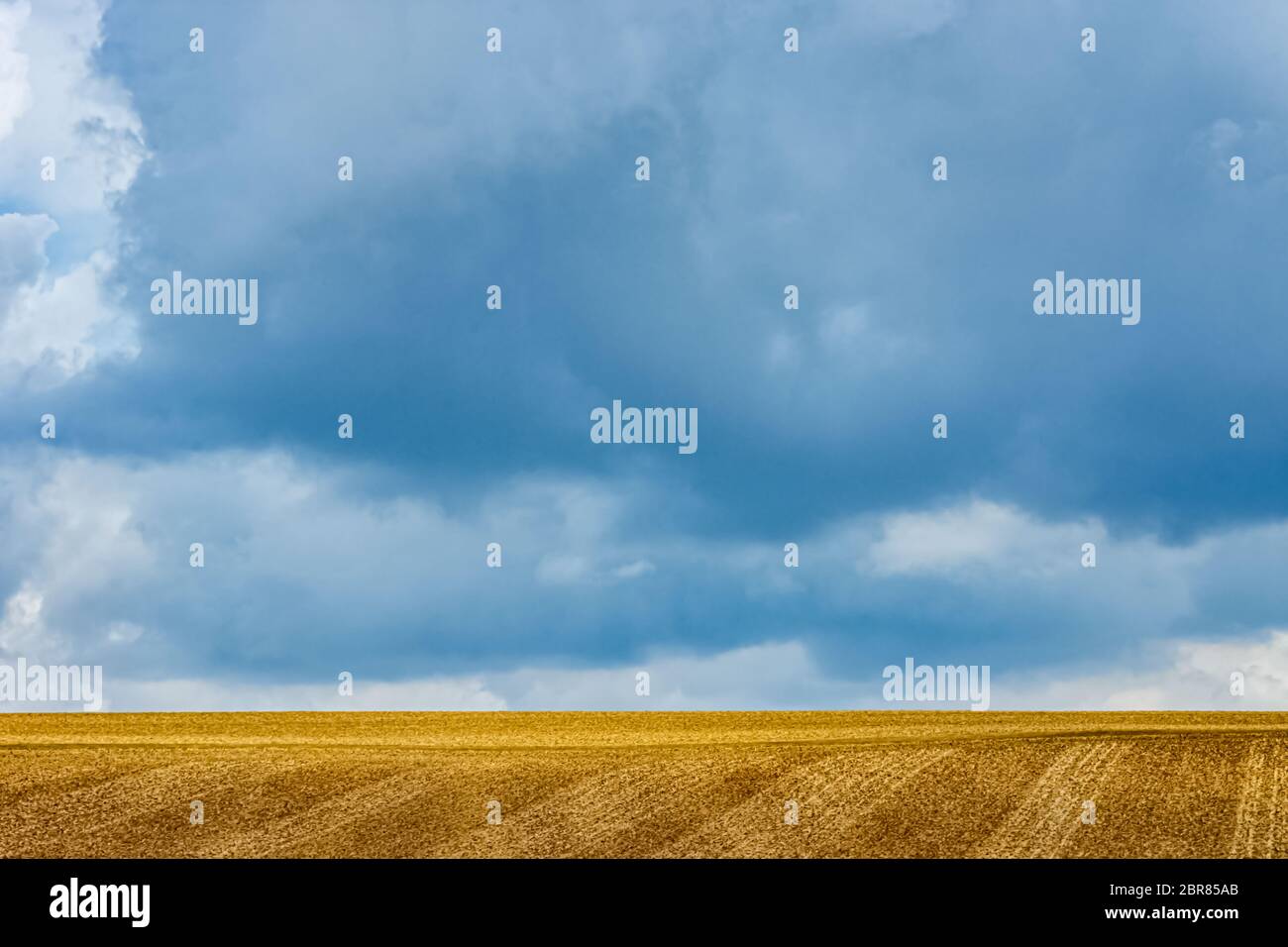 The golden field after wheat harvest in Germany Stock Photo - Alamy