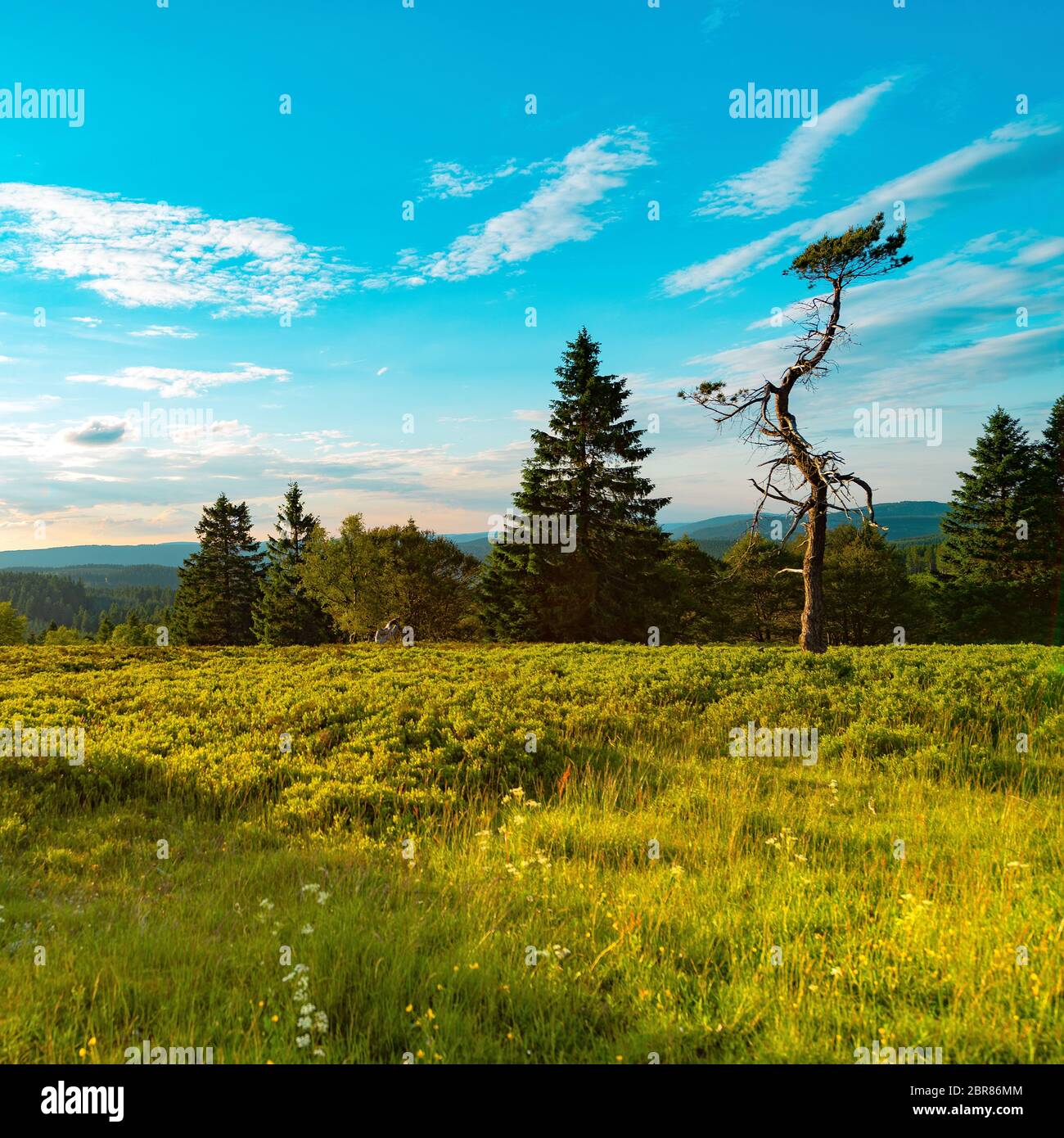 Beauty Rothaar Mountains Stock Photo - Alamy