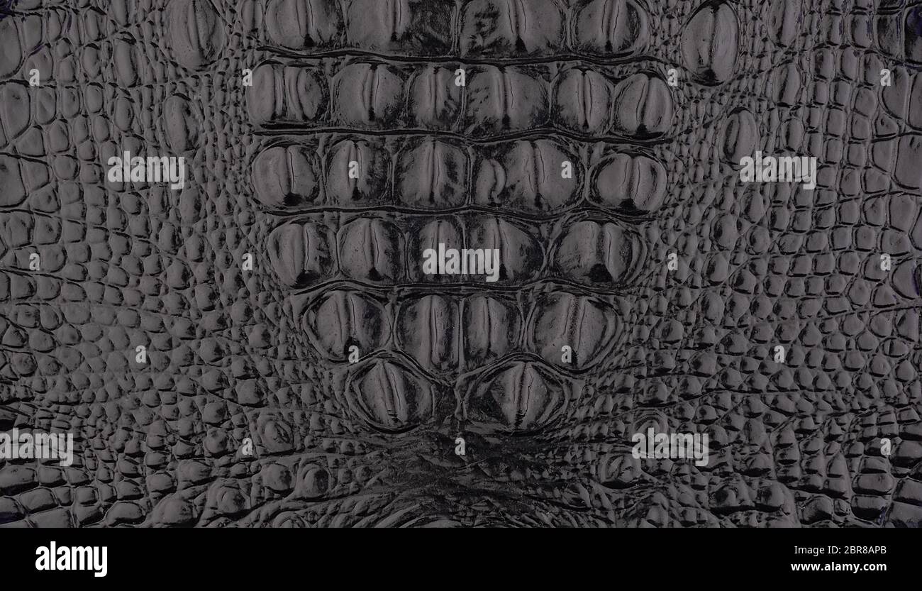 Imitation black crocodile skin background Stock Photo