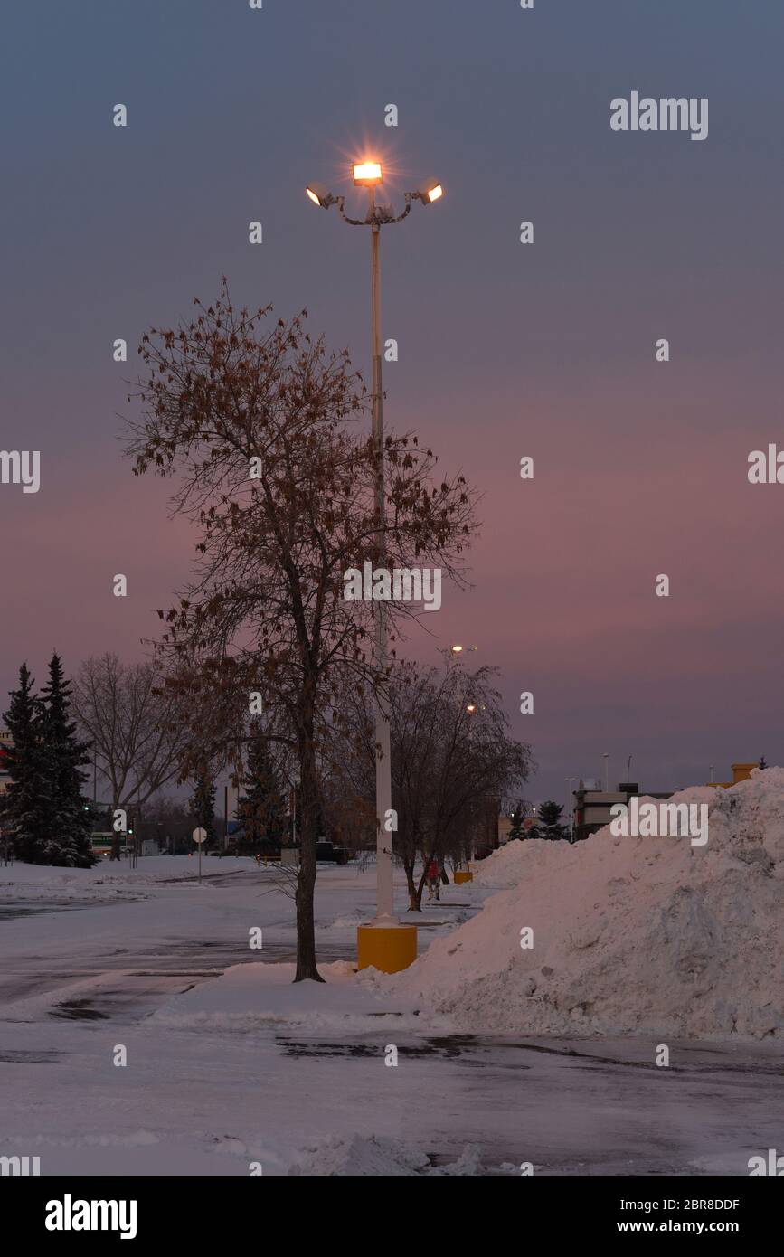 Early morning sunrise turns the sky pink over a snow covered parking lot lit by lamps in Edmonton, Alberta, Canada on a cold winter morning Stock Photo