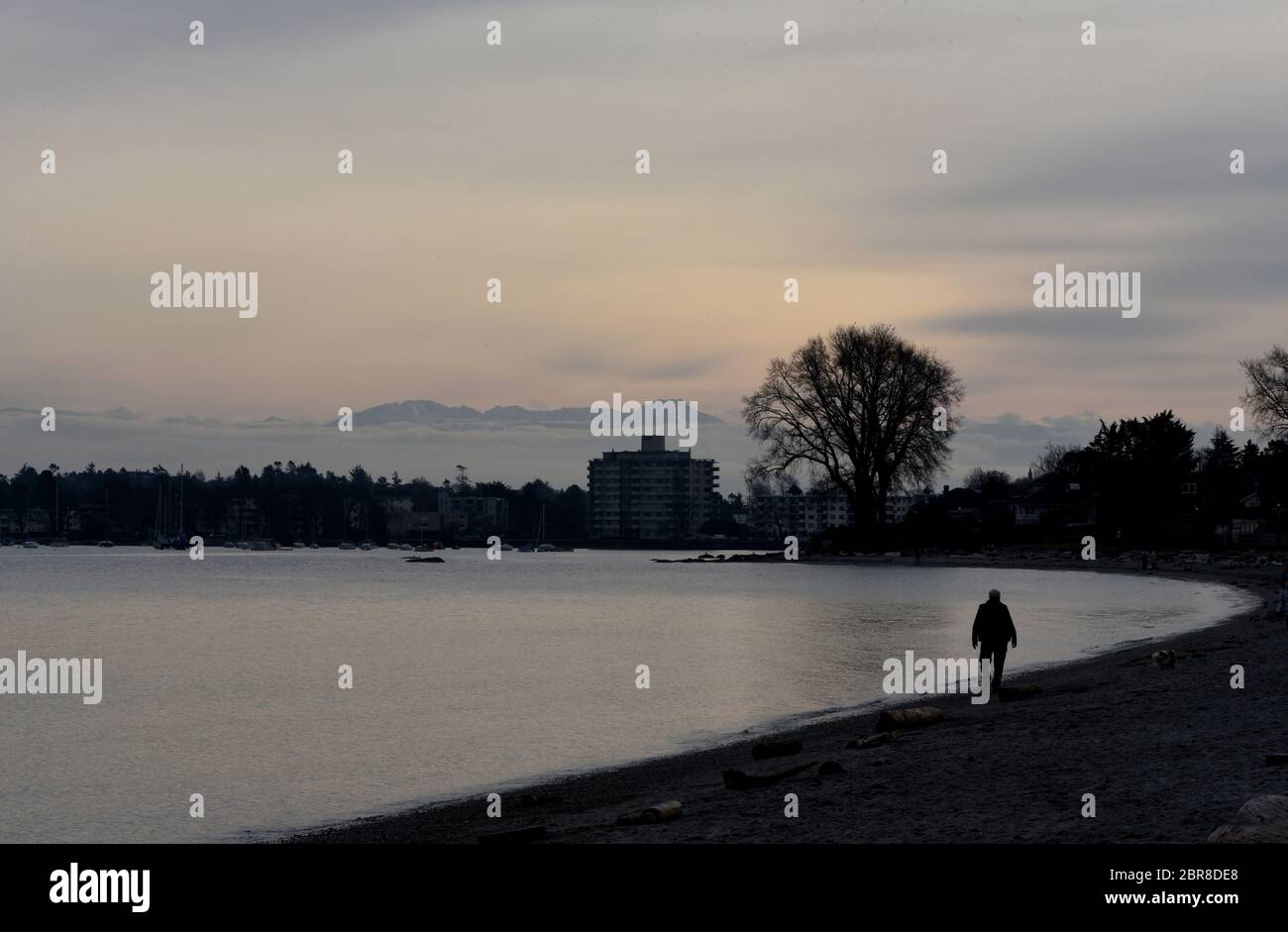 A man is silhouetted as he walks along the shore of Willows Beach in Oak Bay on Vancouver Island, British Columbia, Canada Stock Photo