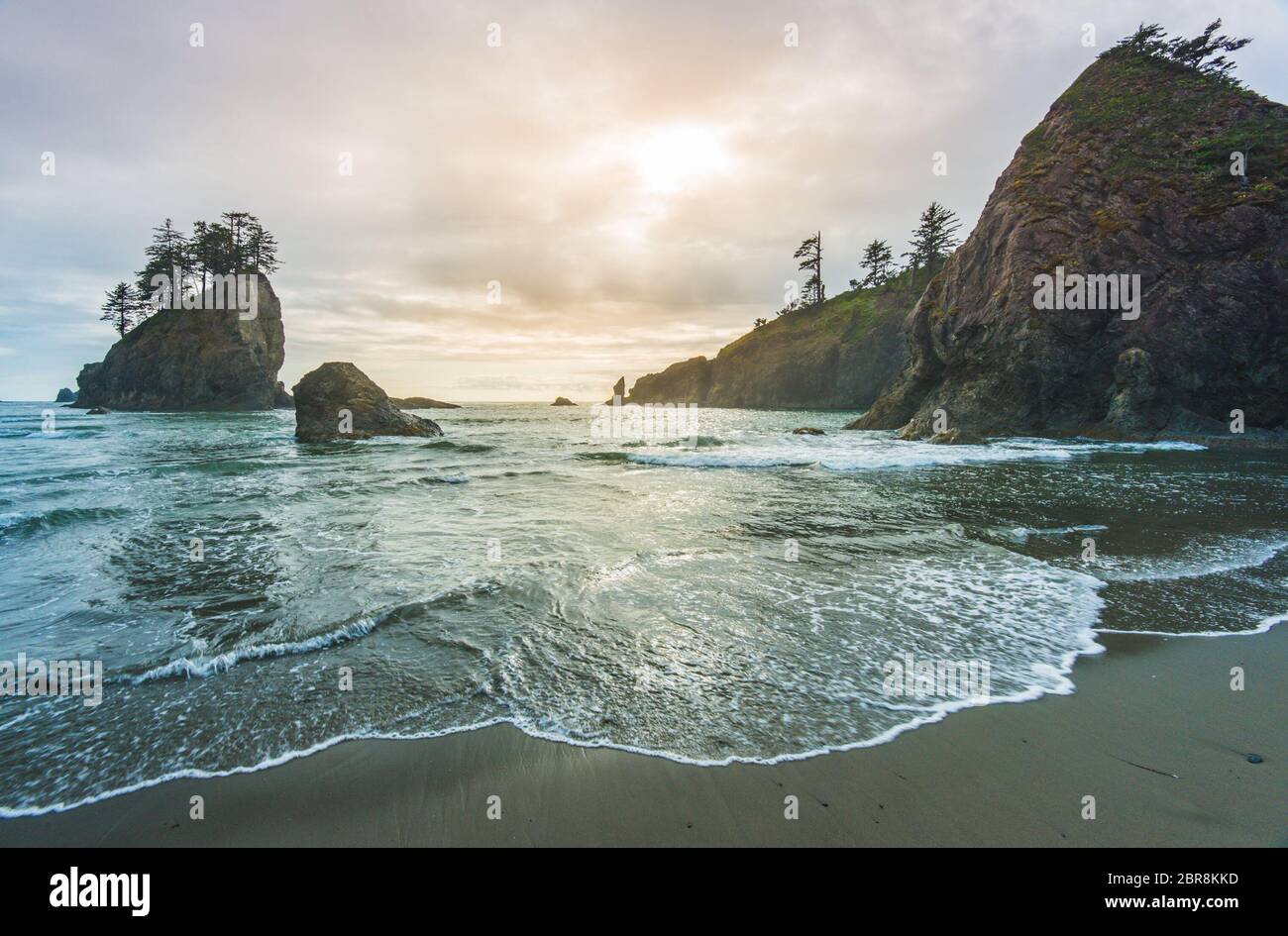 sea stack in sunset time,scenic view of second beach in mt Olympic National park,Washington,USA. Stock Photo