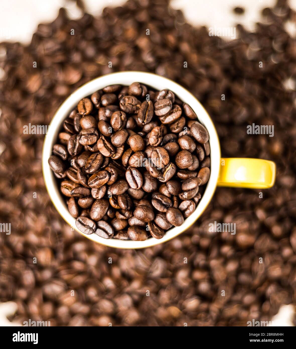 Brown roasted coffee beans, seed on dark background. Espresso dark, aroma, black caffeine drink. Closeup isolated energy mocha, cappuccino ingredient. Stock Photo