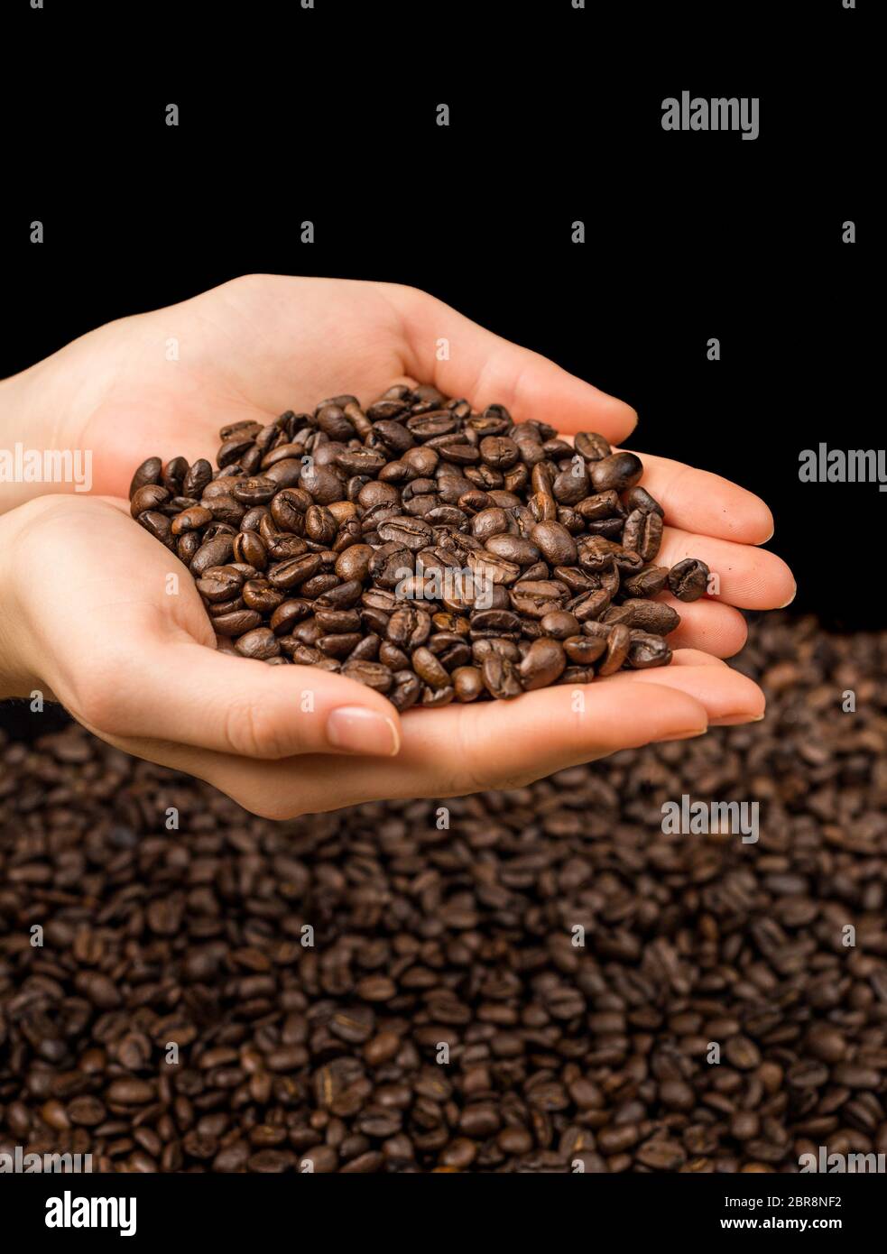 Brown roasted coffee beans, seed on dark background. Espresso dark ...