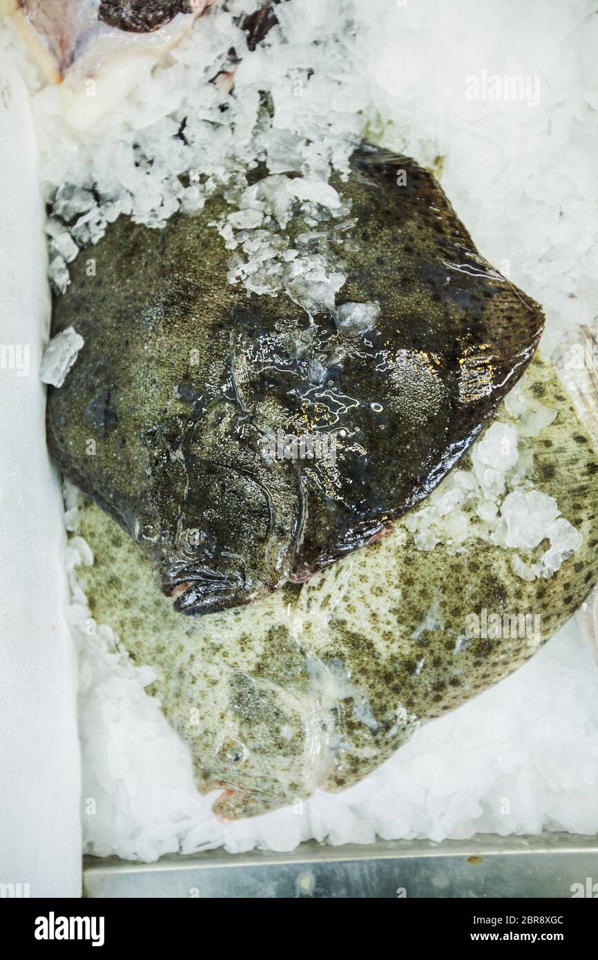 Raw food fresh fish on ice for sale at local market Stock Photo - Alamy
