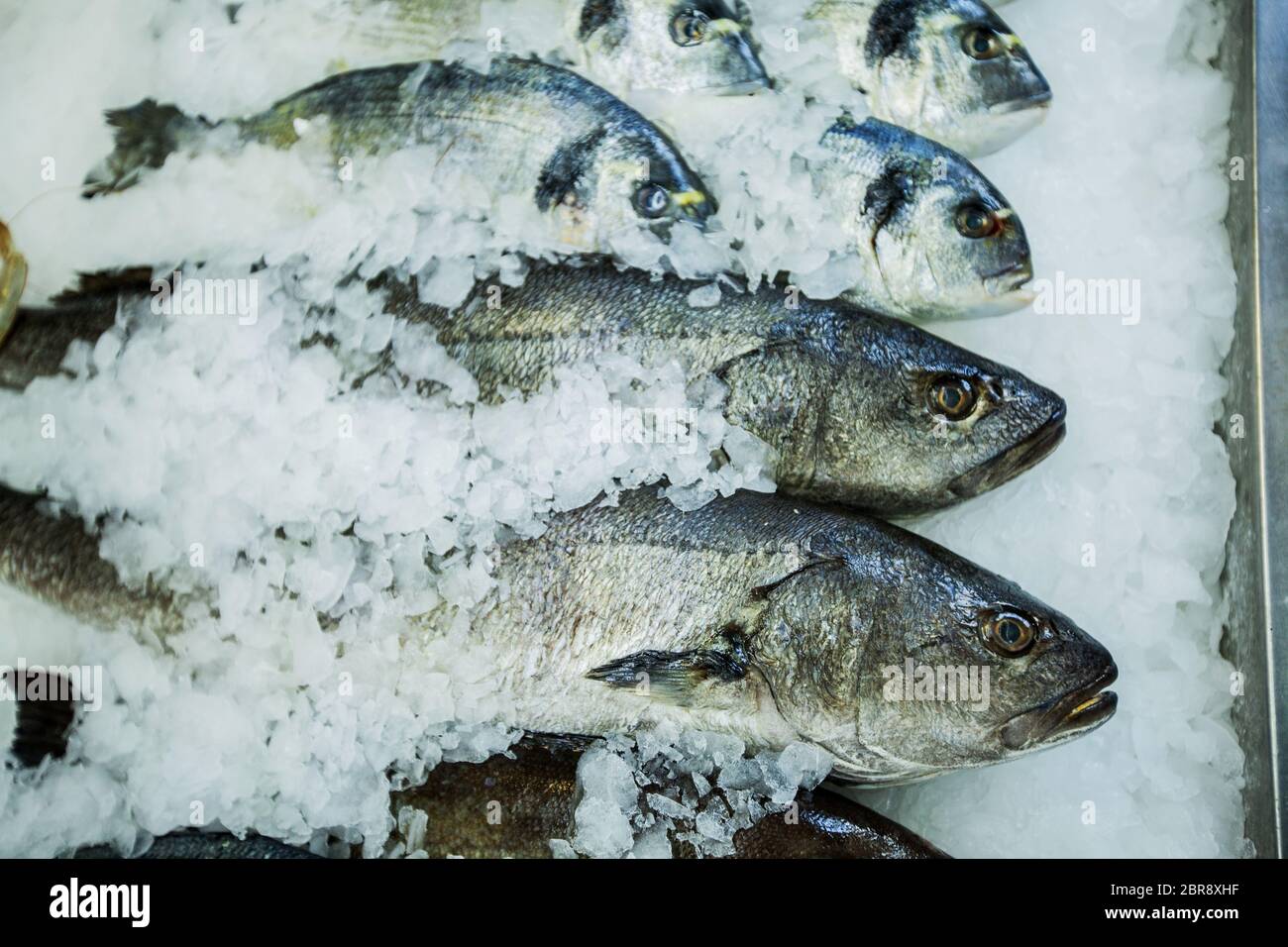 Raw food fresh fish on ice for sale at local market Stock Photo - Alamy