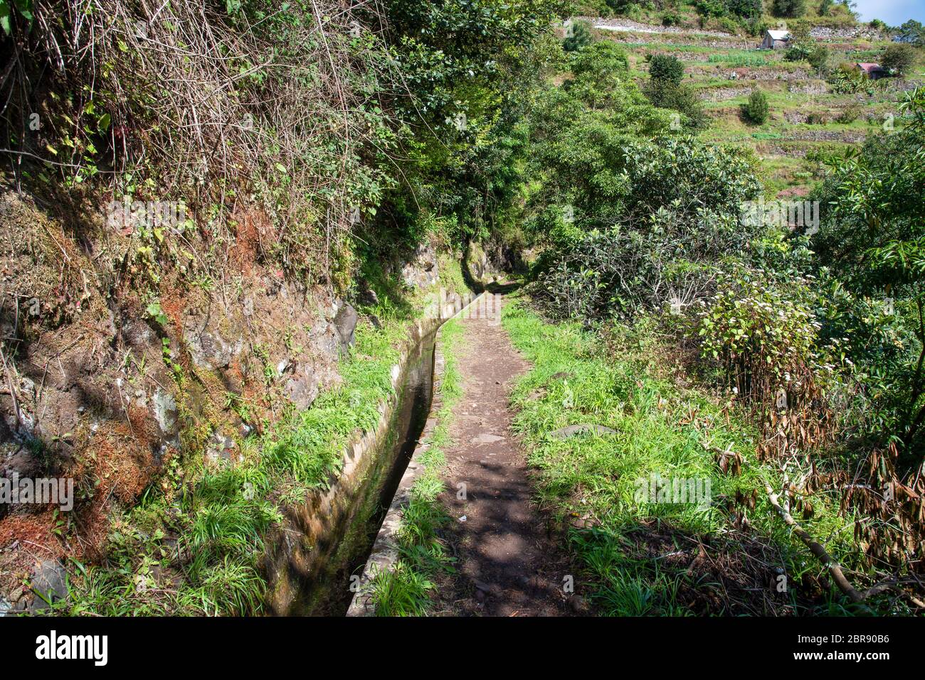 levada-dos-marocos-also-known-as-the-mimosa-valley-near-machico-on-the