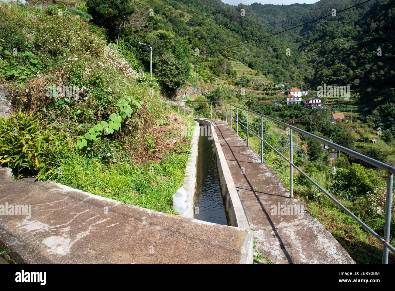 levada-dos-marocos-also-known-as-the-mimosa-valley-near-machico-on-the