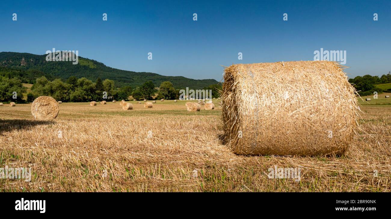 Harvested field with straw bales in summer time Stock Photo - Alamy