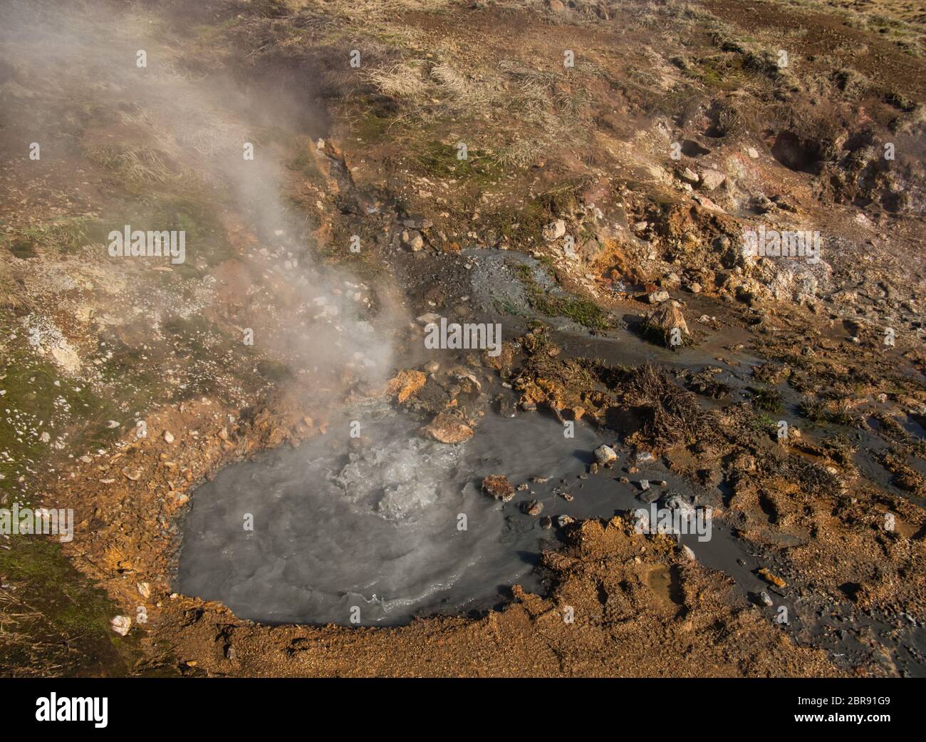 A bubbling geothermal spring near Reykjadalur in Iceland Stock Photo