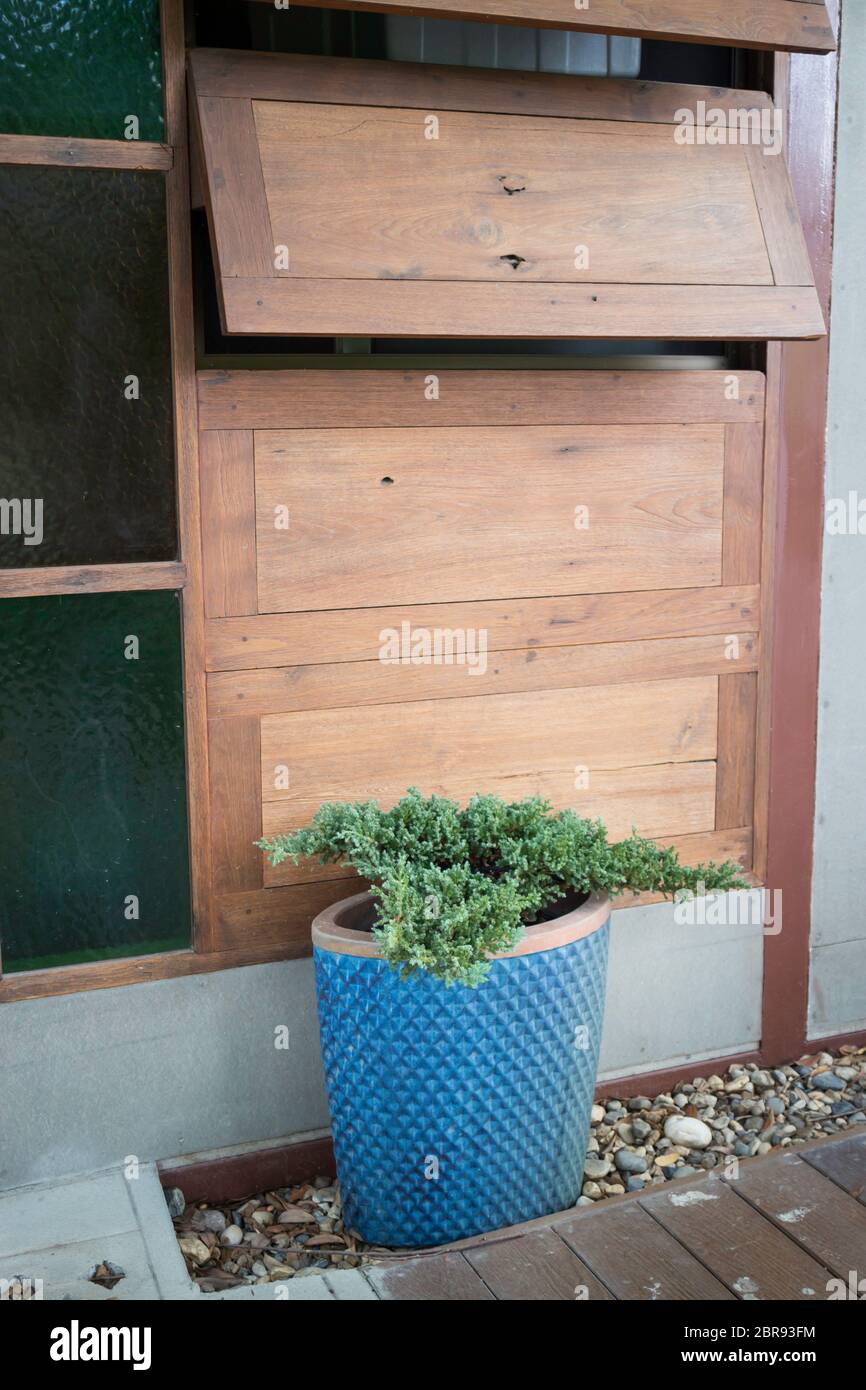 DIY Potted Green Wall For Porch Reference: Wall Decorated Potted Plant Hi Res Stock Photography And Images