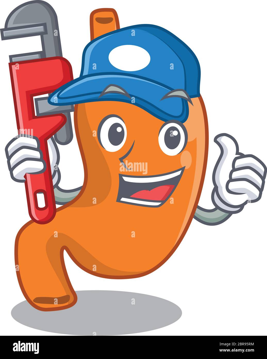 cartoon character design of stomach as a Plumber with tool Stock Vector  Image & Art - Alamy