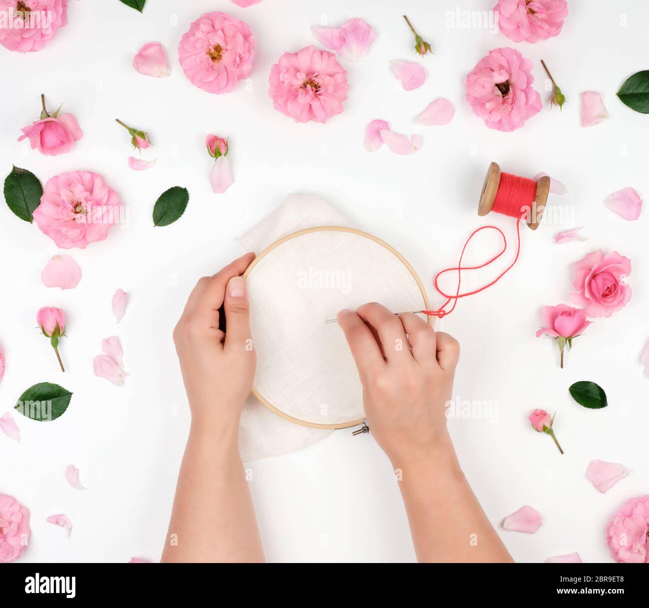 two female hands holding a round wooden hoop and a red thread with a needle, concept of embroidery products, top view Stock Photo