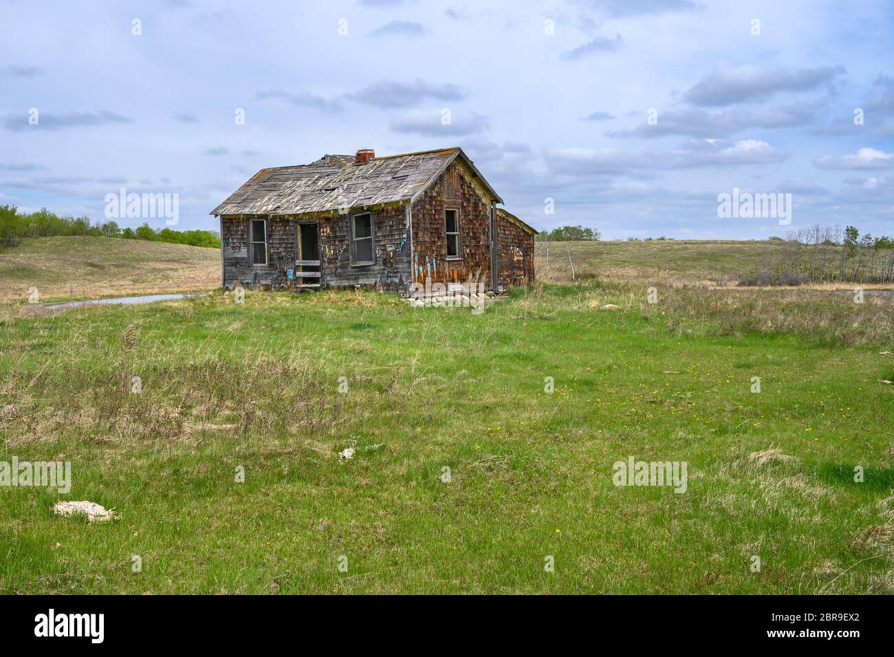 Old homestead house on the prairie near Big Valley, Alberta, Canada