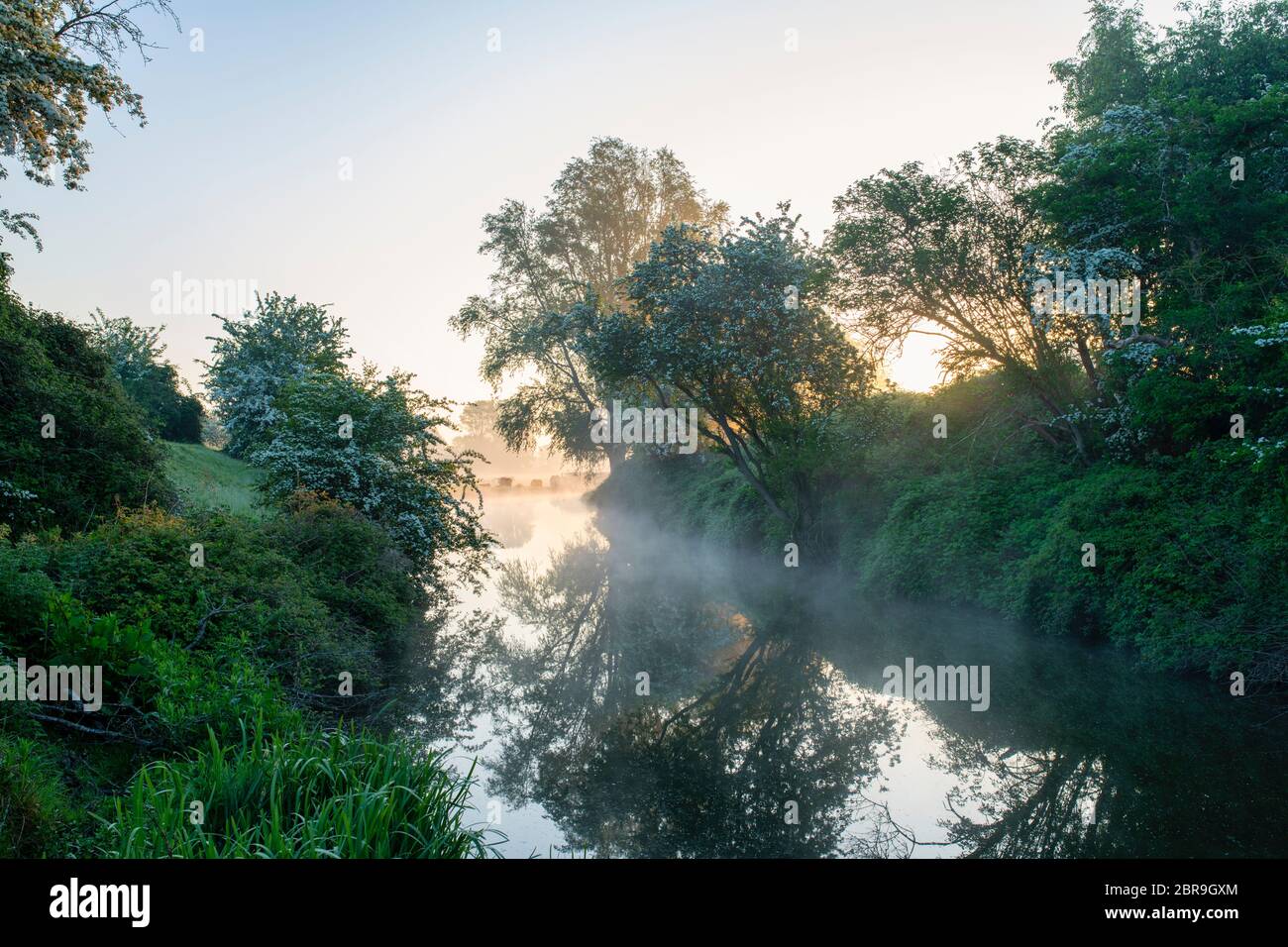 Mist on the oxford canal on a spring morning just after sunrise. Near Somerton, Oxfordshire, England Stock Photo