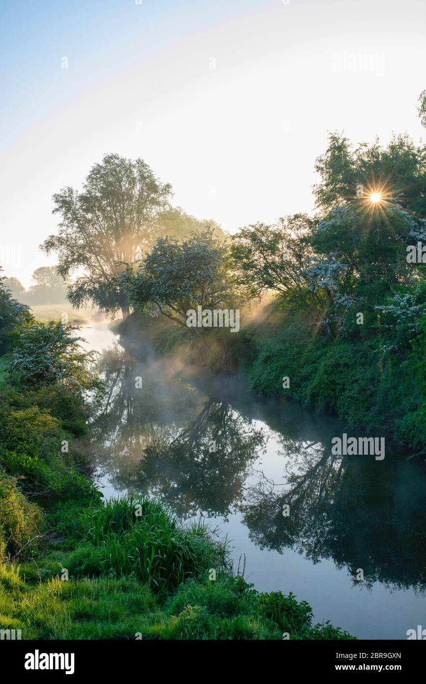 Mist on the oxford canal on a spring morning just after sunrise. Near Somerton, Oxfordshire, England Stock Photo