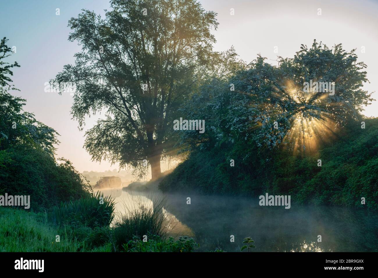 Mist on the oxford canal on a spring morning just after sunrise. Near Somerton, Oxfordshire, England Stock Photo