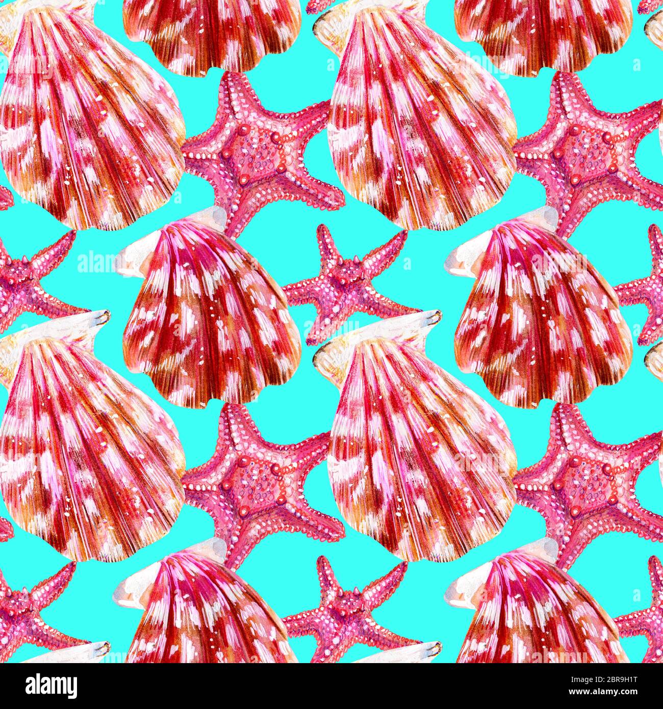Seamless pattern of scallop shells. Mother of pearl with pink clam ...