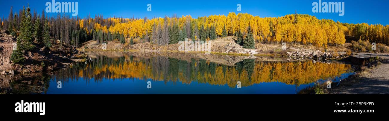 Reflection of aspens in autumn in Deer Lakes, Grand Mesa-Uncompahgre-Gunnison National Forest, San Juan Mountains, Colorado Stock Photo