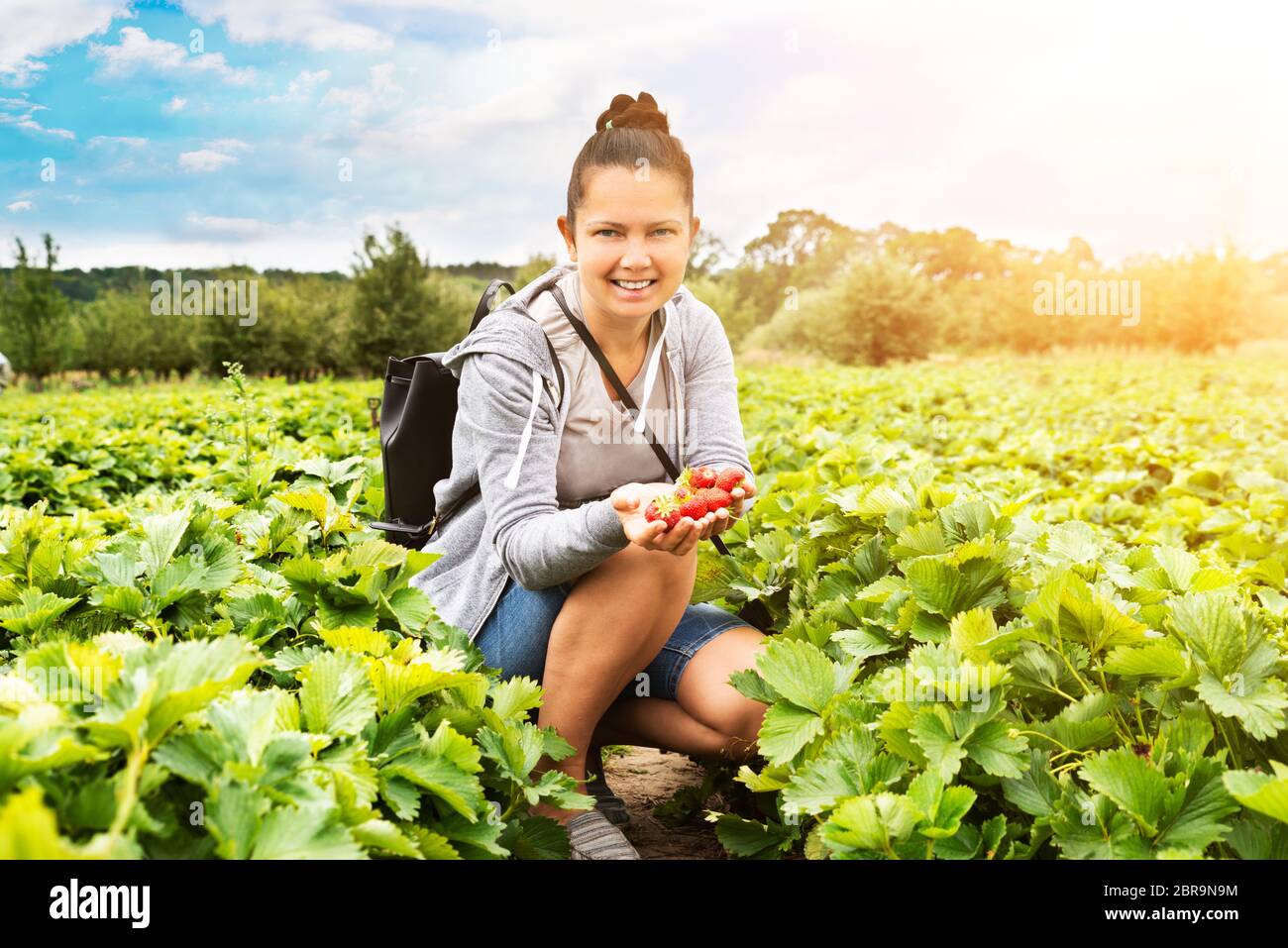 Smiling Young Woman Picking Strawberries In The Field Stock Photo - Alamy