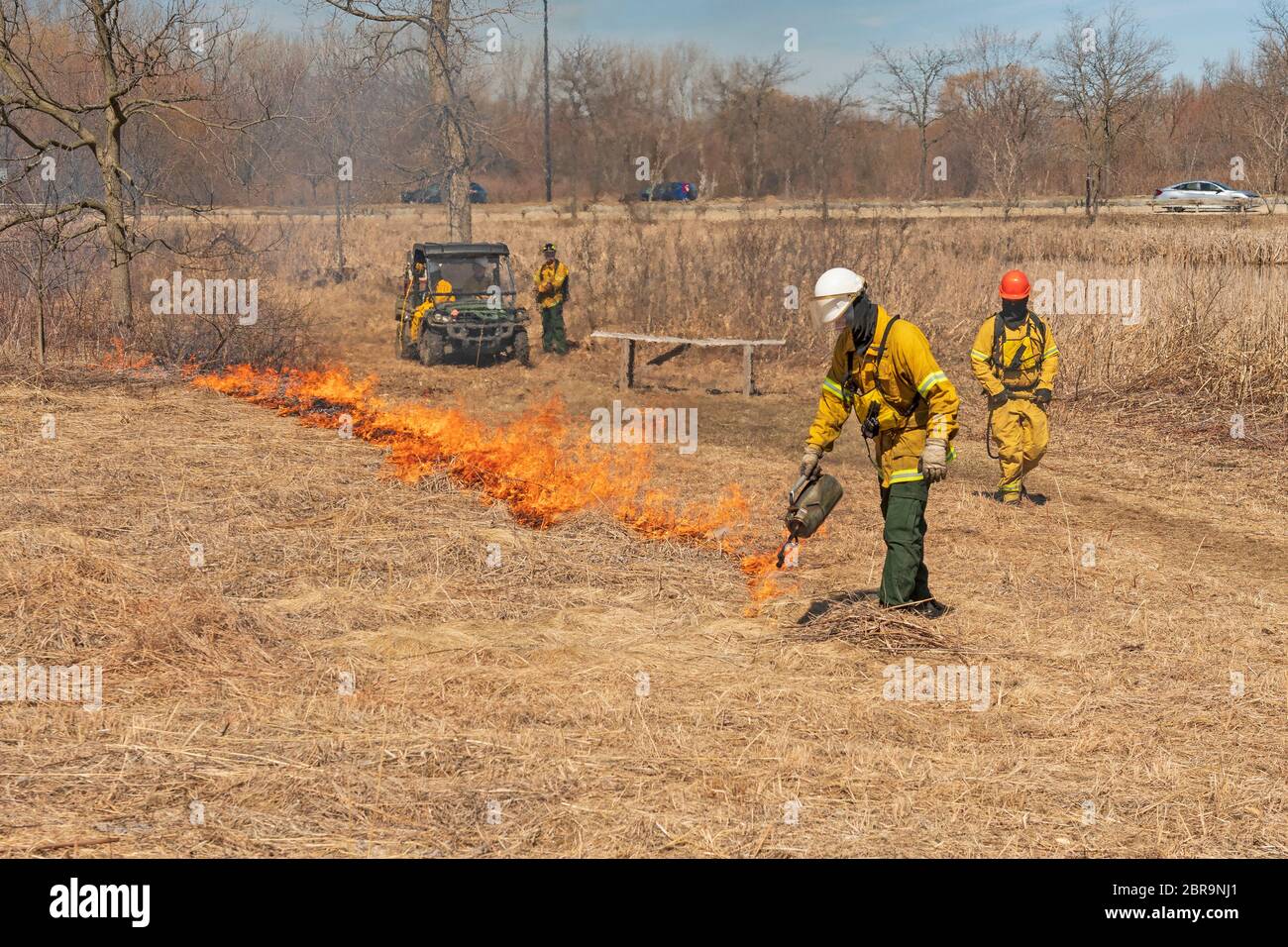 Using a Drip Torch to Start a Controlled Prairie Burn in Spring Valley Nature Center in Schaumburg, Illinois Stock Photo