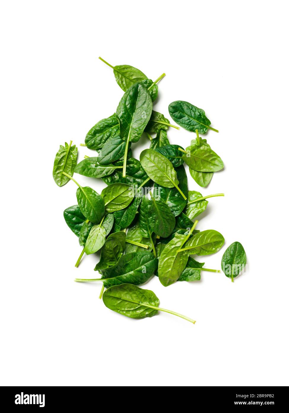 Heap of baby spinach leaves. Fresh green baby spinach isolated on white