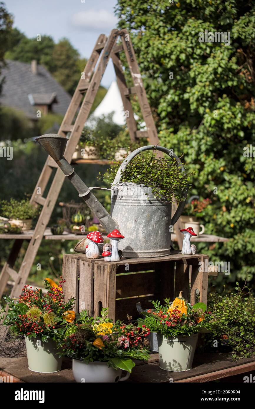 decorative autumn still life with old ladder and tin watering can Stock Photo