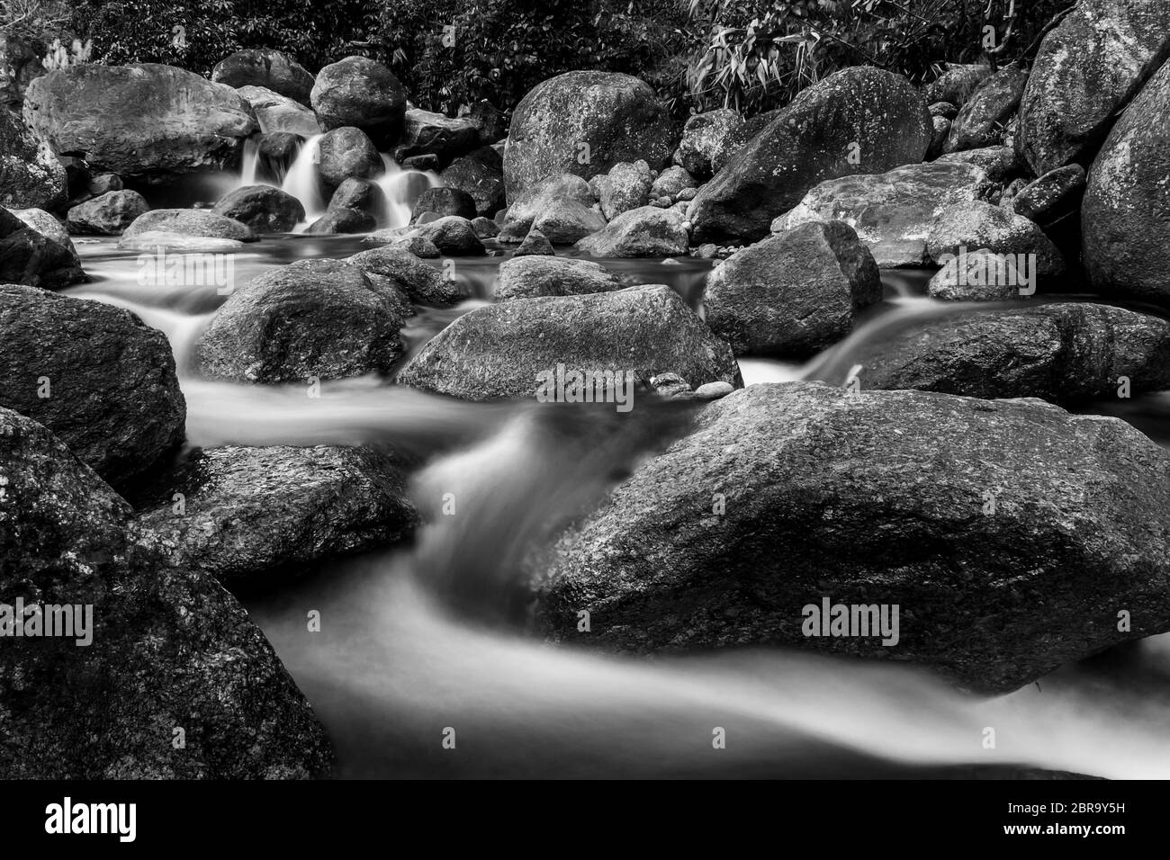River stone and tree colorful, View water river tree, Stone river in