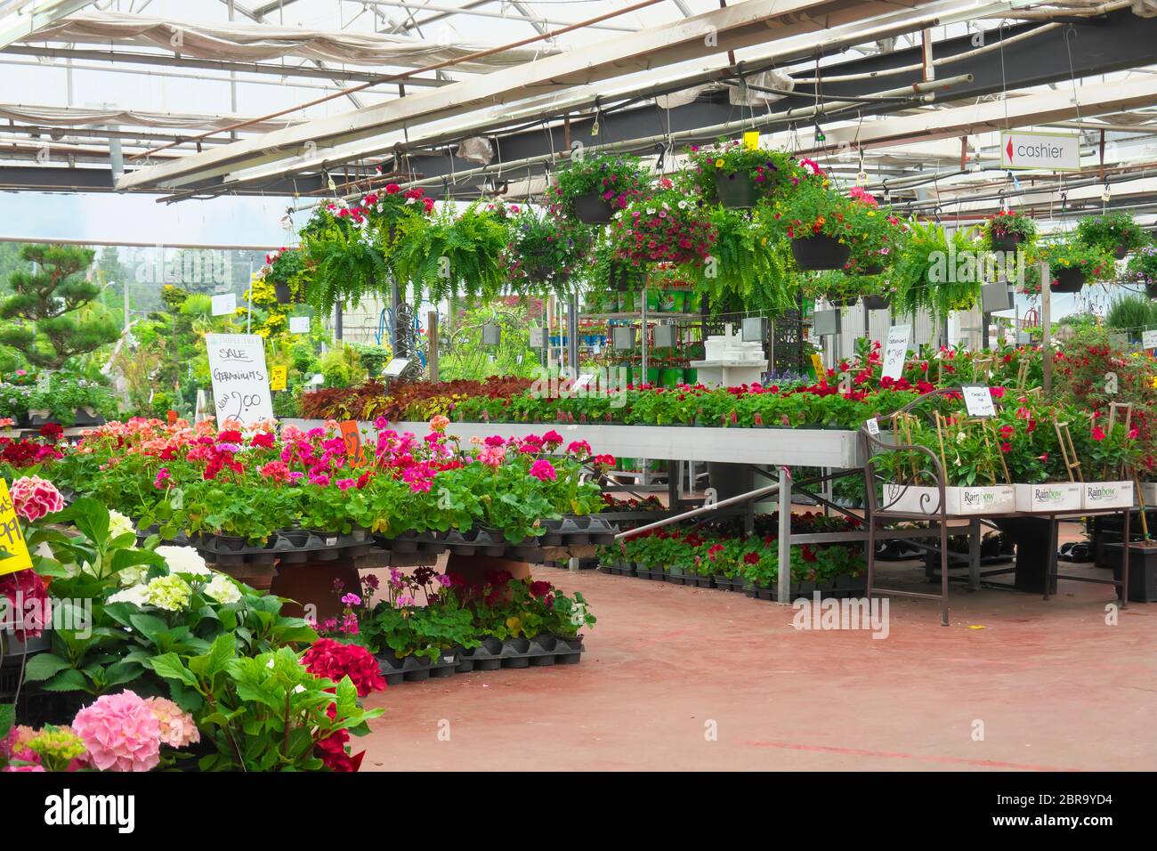 Hanging baskets garden hires stock photography and images Alamy