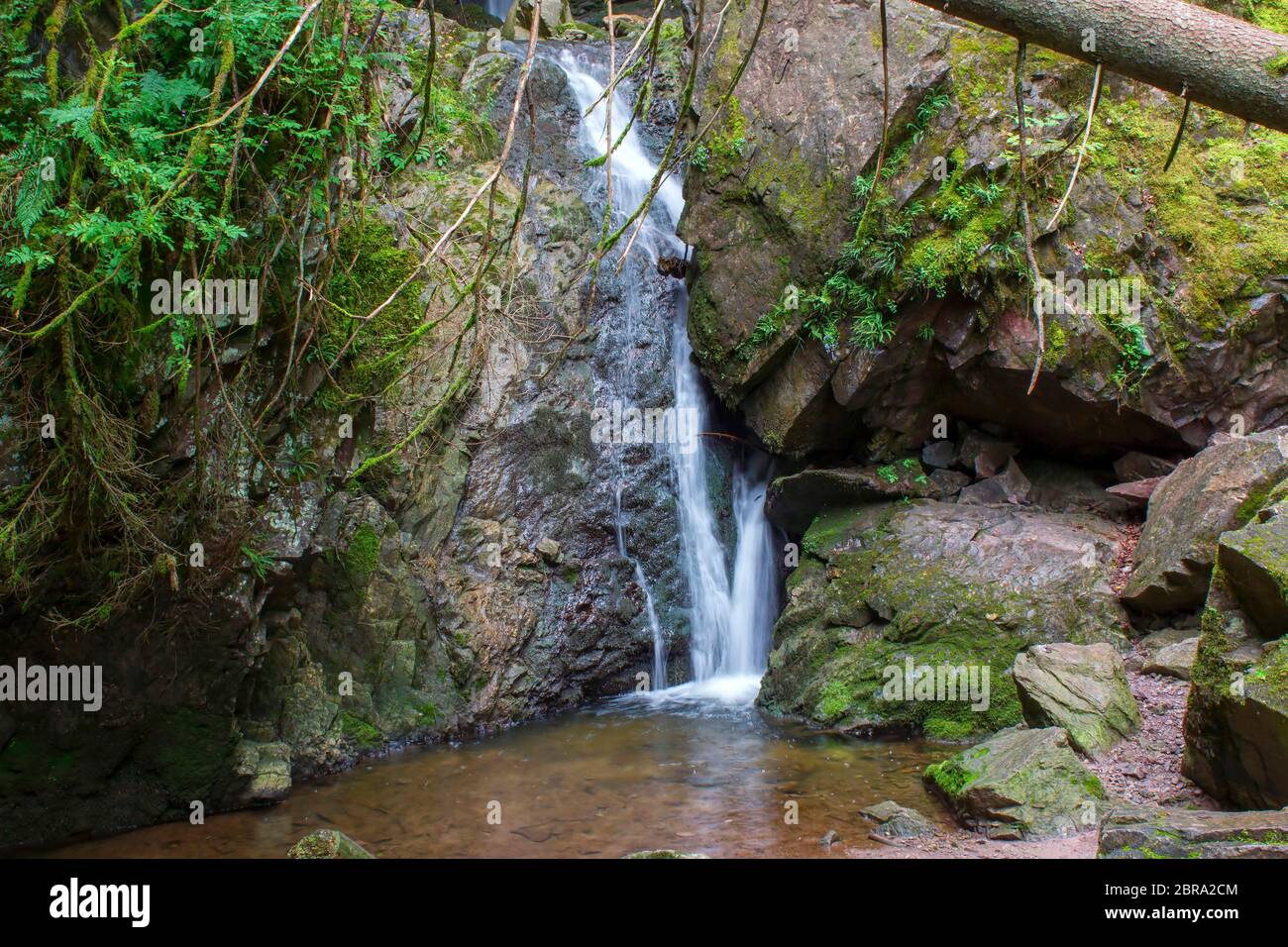 Lotenbachklamm gorge hi-res stock photography and images - Alamy